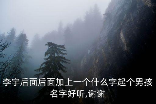 李宇后面后面加上一個(gè)什么字起個(gè)男孩名字好聽(tīng),謝謝