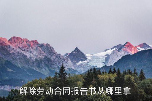 解除勞動合同報告書從哪里拿