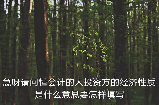 急呀請(qǐng)問懂會(huì)計(jì)的人投資方的經(jīng)濟(jì)性質(zhì)是什么意思要怎樣填寫