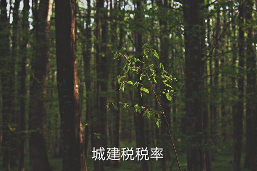 城建稅稅率