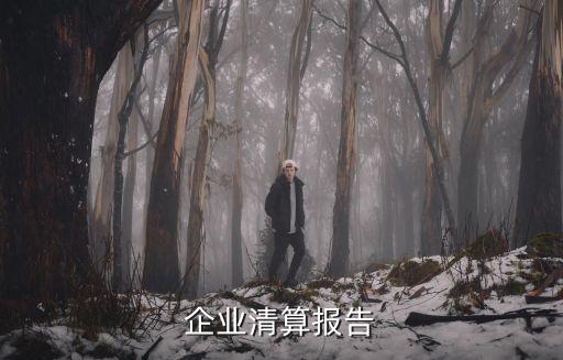 企業(yè)清算報(bào)告