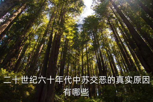 二十世紀(jì)六十年代中蘇交惡的真實原因有哪些