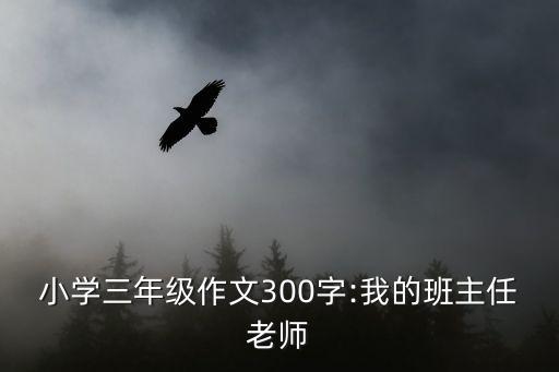 小學(xué)三年級作文300字:我的班主任老師