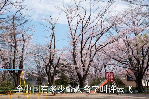 全中國有多少個人名字叫許云飛