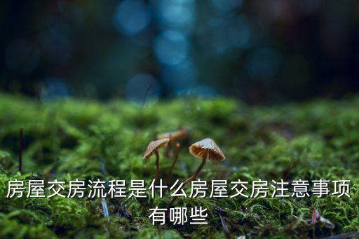 房屋交房流程是什么房屋交房注意事項(xiàng)有哪些