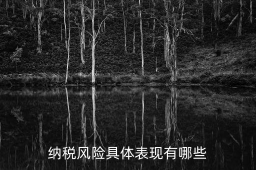 稅收風(fēng)險(xiǎn)，新財(cái)稅政策下的稅收風(fēng)險(xiǎn)點(diǎn)有哪些
