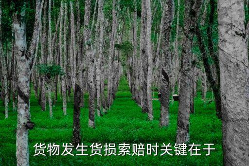 貨損，小商品零售企業(yè)的貨損賠付標(biāo)準(zhǔn)是什么