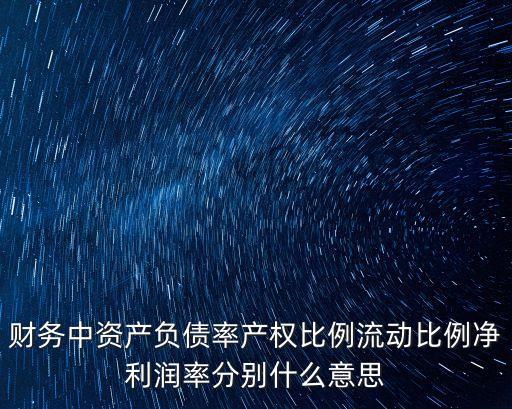 財(cái)務(wù)中資產(chǎn)負(fù)債率產(chǎn)權(quán)比例流動(dòng)比例凈利潤(rùn)率分別什么意思