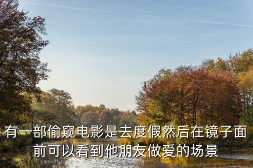 有一部偷窺電影是去度假然后在鏡子面前可以看到他朋友做愛的場(chǎng)景
