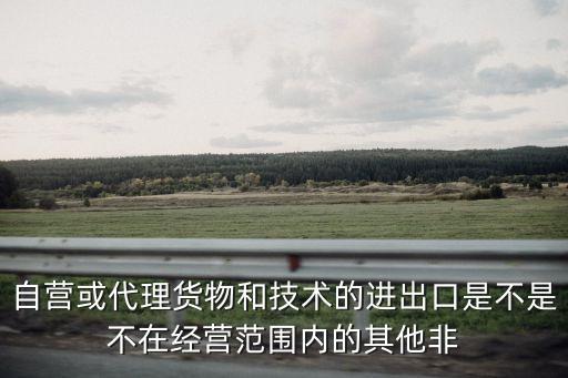 技術(shù)出口，報(bào)關(guān)時(shí)兩用物項(xiàng)和技術(shù)出口許可證非要用嗎