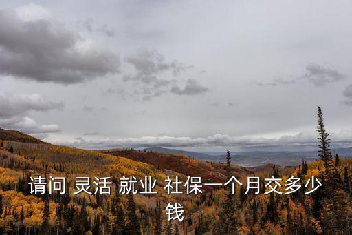 靈活就業(yè)社保