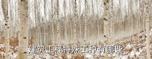 建筑工程特殊工種有哪些