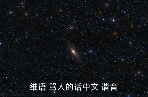 維語 罵人的話中文 諧音