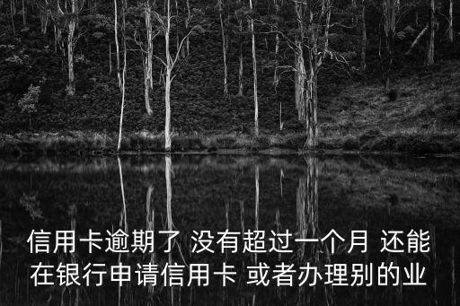信用卡逾期申請，信用卡逾期了 沒有超過一個(gè)月 還能在銀行申請信用卡 或者辦理別的業(yè)