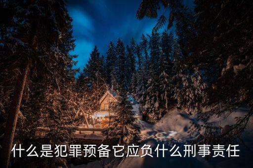 什么是犯罪預(yù)備它應(yīng)負(fù)什么刑事責(zé)任