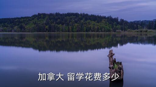 加拿大留學(xué)費(fèi)用,大學(xué)加拿大留學(xué)費(fèi)用