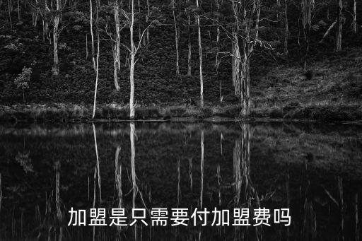 加盟是只需要付加盟費(fèi)嗎