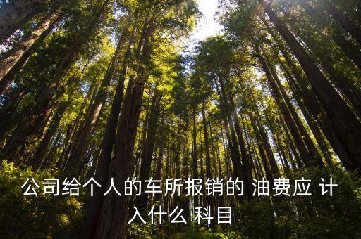 公司給個(gè)人的車所報(bào)銷的 油費(fèi)應(yīng) 計(jì)入什么 科目