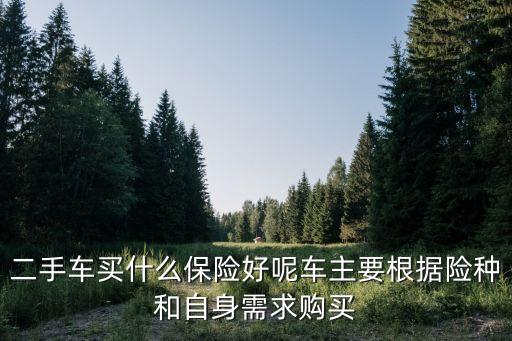二手車(chē)買(mǎi)什么保險(xiǎn)好呢車(chē)主要根據(jù)險(xiǎn)種和自身需求購(gòu)買(mǎi)