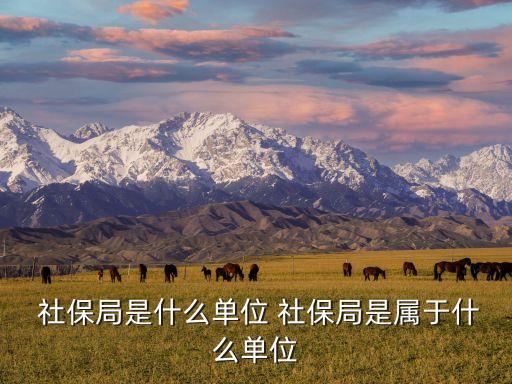  社保局是什么單位 社保局是屬于什么單位