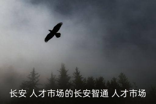 珠三角人才網