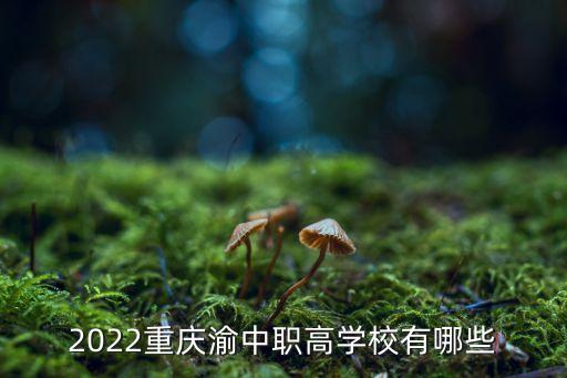 2022重慶渝中職高學(xué)校有哪些