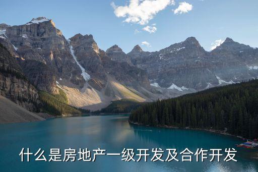什么是房地產(chǎn)一級(jí)開(kāi)發(fā)及合作開(kāi)發(fā)