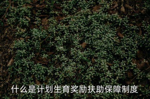 生育獎(jiǎng)勵(lì)政策，計(jì)劃生育獎(jiǎng)勵(lì)政策