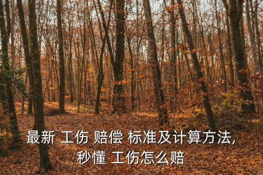 工傷鑒定賠償標(biāo)準(zhǔn),腳后跟粉碎性骨折工傷鑒定賠償標(biāo)準(zhǔn)