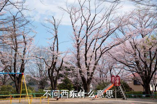 不問(wèn)東西，不問(wèn)什么可以嗎