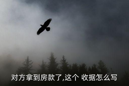 對(duì)方拿到房款了,這個(gè) 收據(jù)怎么寫(xiě)