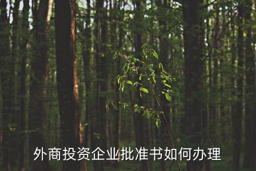 外商投資企業(yè)批準證書，外商投資批準證書外資是什么東西
