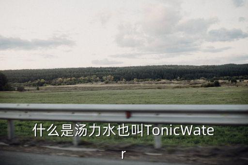 什么是湯力水也叫TonicWater