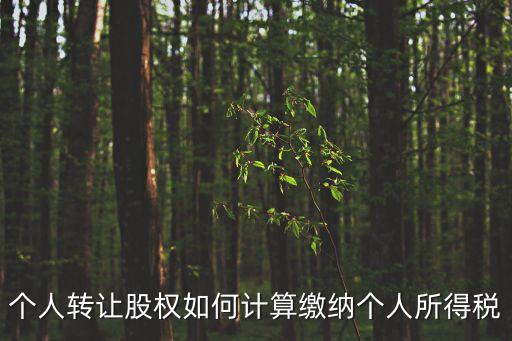 個人轉(zhuǎn)讓股權(quán)如何計算繳納個人所得稅