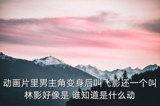 動畫片里男主角變身后叫飛影還一個叫林影好像是 誰知道是什么動