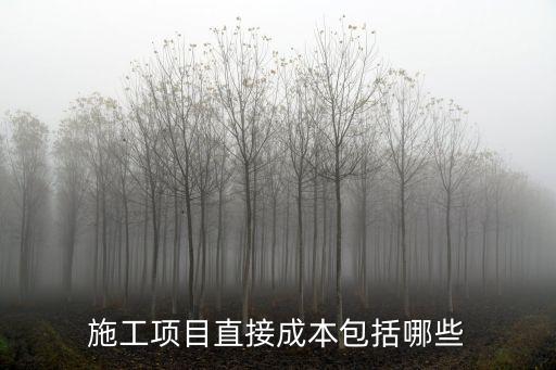 施工項(xiàng)目直接成本包括哪些