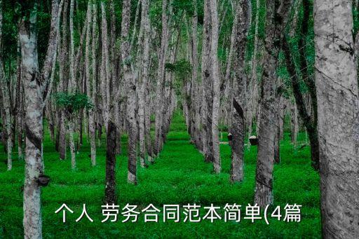 個人 勞務(wù)合同范本簡單(4篇