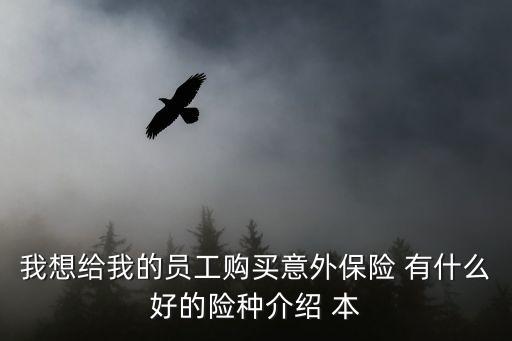 員工意外保險，關(guān)于小企業(yè)員工上意外保險的問題