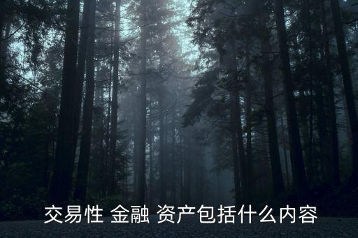 交易性金融資產(chǎn)