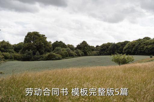 乙方的權(quán)利和義務(wù)模板,甲方權(quán)利和義務(wù) 乙方個人身體原因