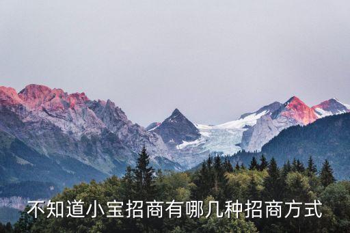 招商模式，不知道小寶招商有哪幾種招商方式