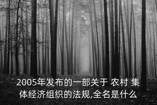 農(nóng)村集體經(jīng)濟組織法