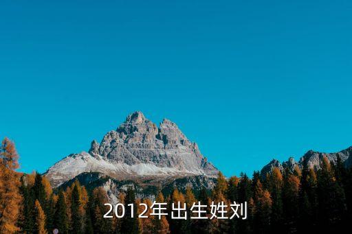 2012年出生姓劉