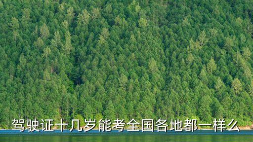 十幾歲可以考駕照，駕駛證十幾歲能考全國各地都一樣么