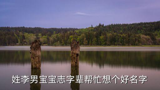 李志銘，姓李男寶寶志字輩幫忙想個好名字
