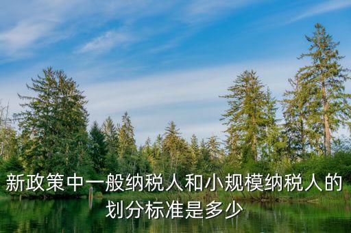 新政策中一般納稅人和小規(guī)模納稅人的劃分標準是多少