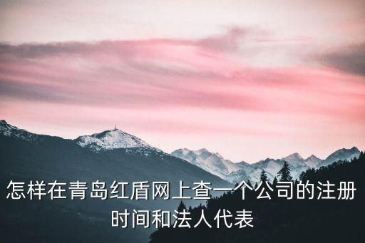 怎樣在青島紅盾網(wǎng)上查一個公司的注冊時間和法人代表