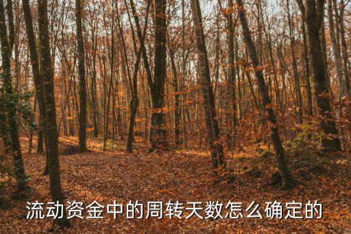 流動資金周轉天數，流動資金周轉天數的什么是流動資金周轉天數