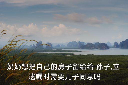 奶奶想把自己的房子留給給 孫子,立 遺囑時(shí)需要兒子同意嗎