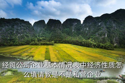 經(jīng)營(yíng)性質(zhì)怎么填，經(jīng)營(yíng)性質(zhì)怎么填寫(xiě)